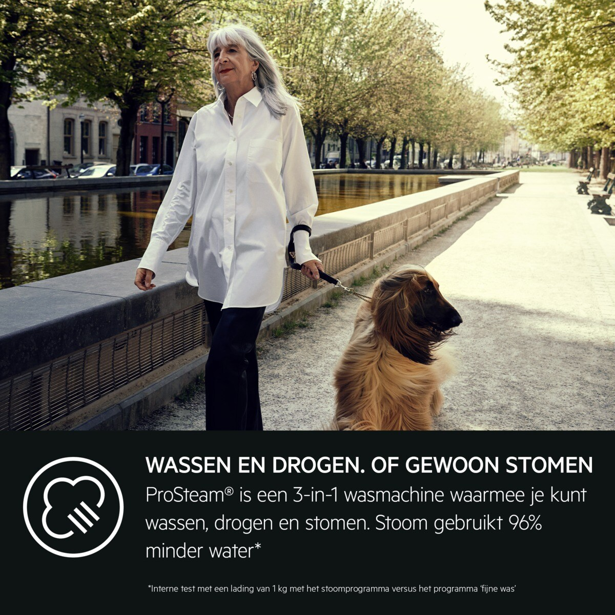 Woman walks dog on a path by a canal. Text: Washing and drying. Or just steaming. ProSteam.
