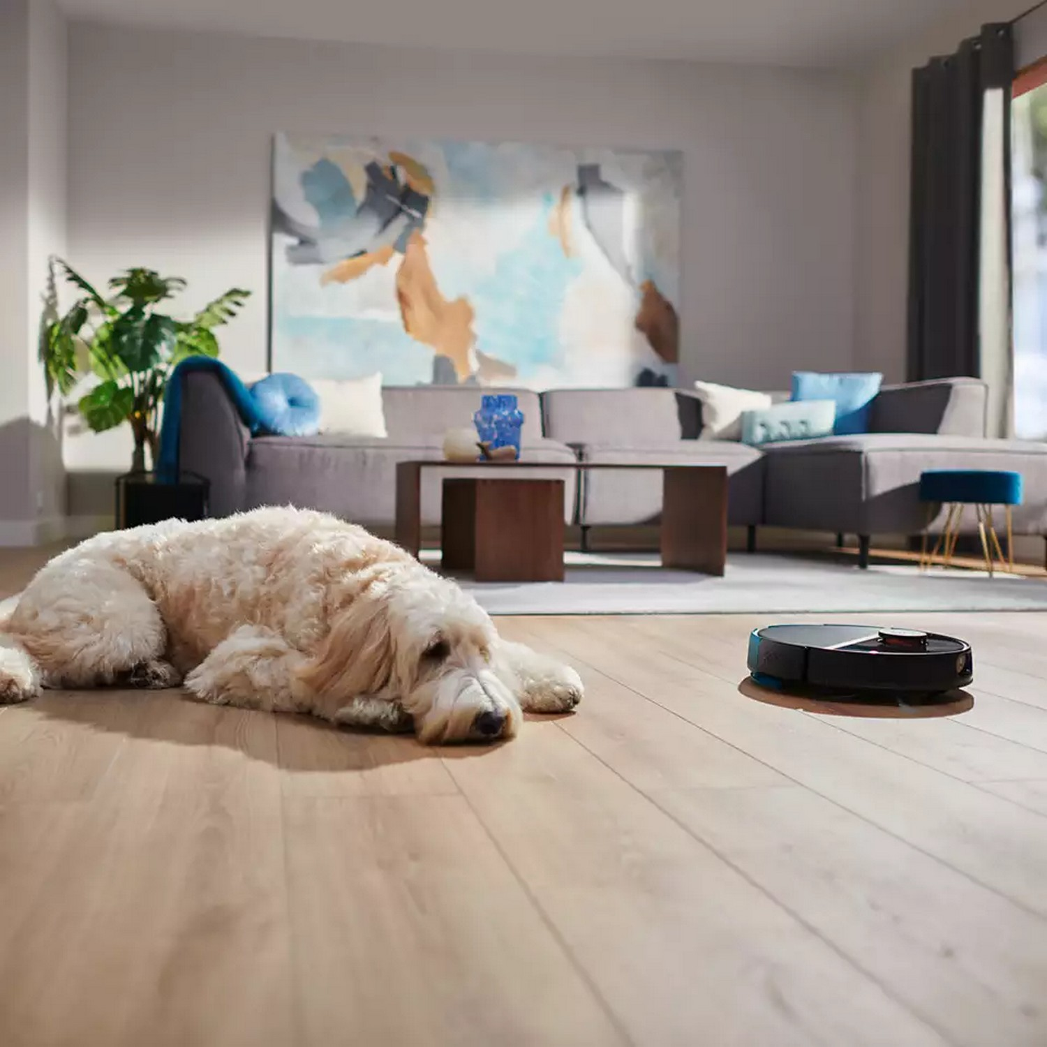 PHILIPS Robotstofzuiger met reinigingsfunctie HomeRun Aqua Serie 3000 (XU3000/02)