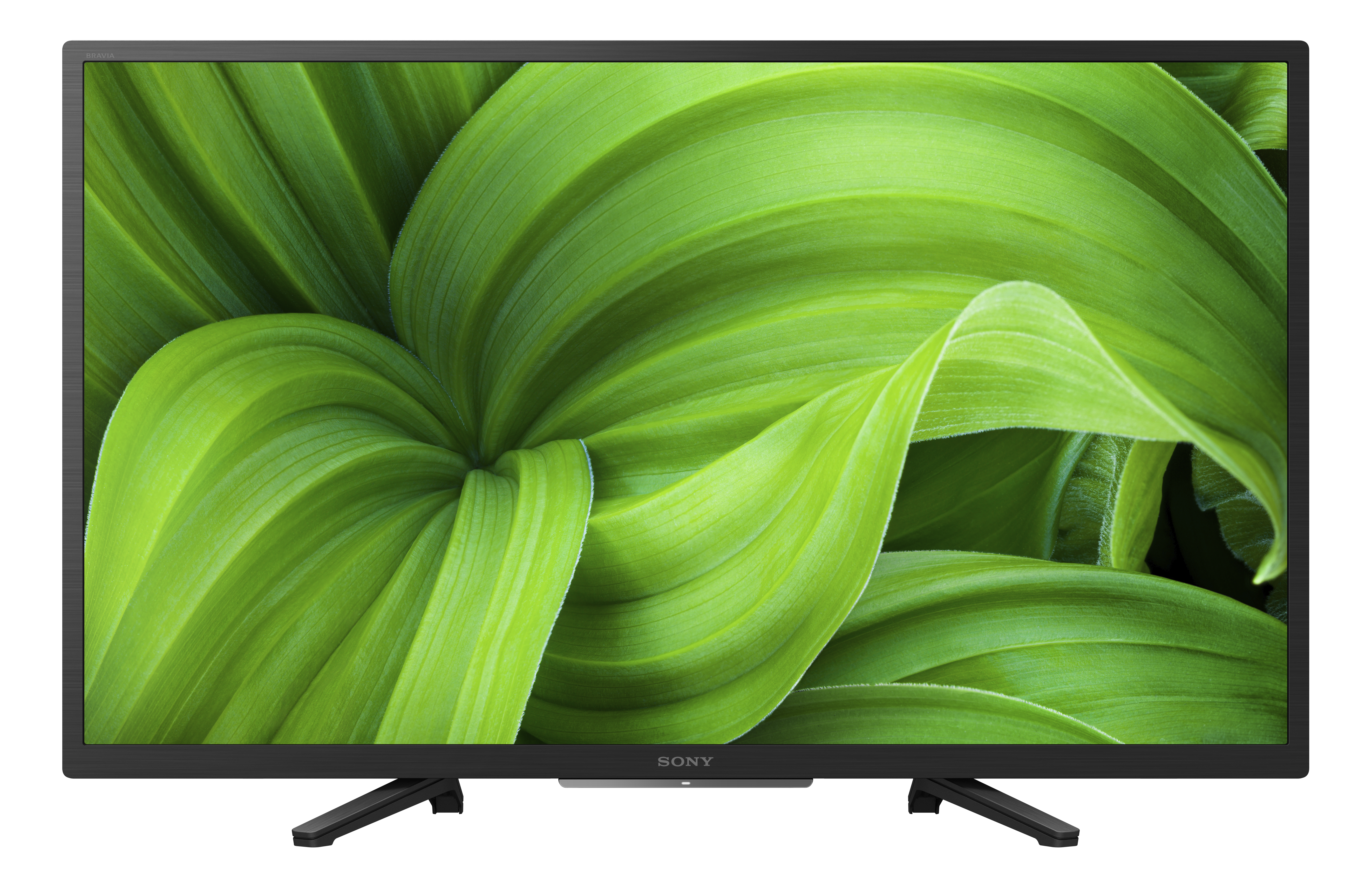 Una TV a schermo piatto con un'immagine verde simile a una pianta. La TV ha bordi neri.