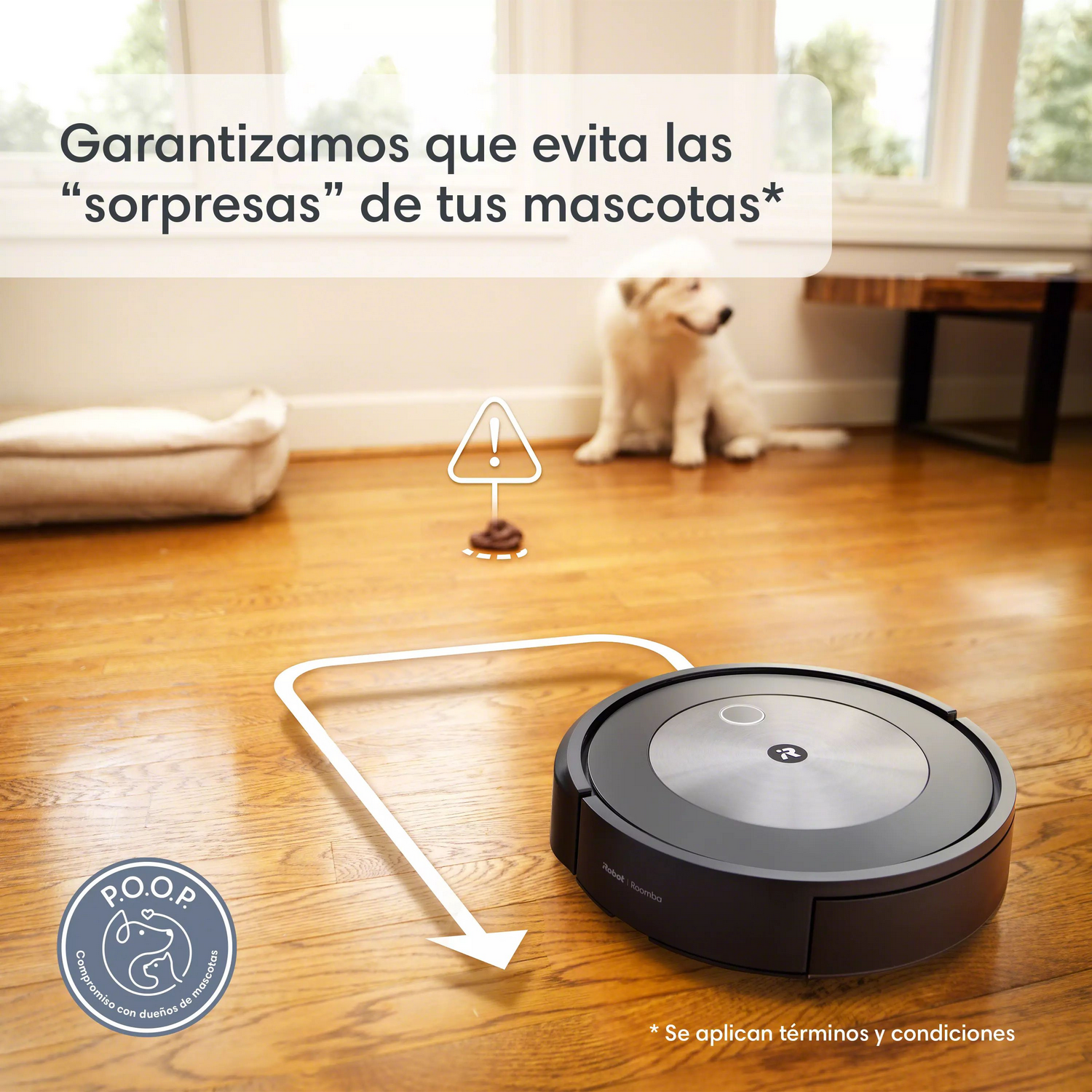 Aspiradora robot en suelo de madera, con un perro al fondo.