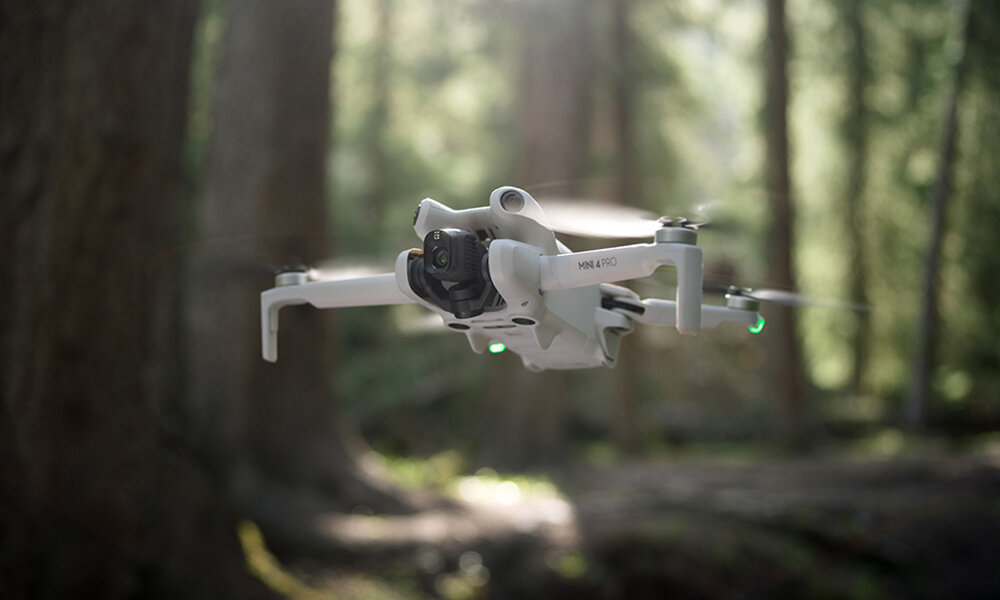 Biały dron latający w lesie.