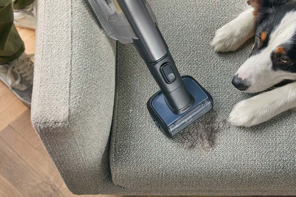 Głowica odkurzacza czyszcząca szarą sofę z psem obok.