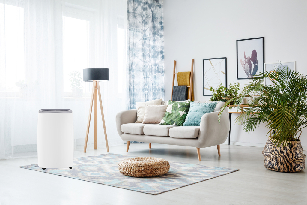Wohnzimmer mit weißen Wänden, beigem Sofa, Pflanzen, Teppich und Luftreiniger.