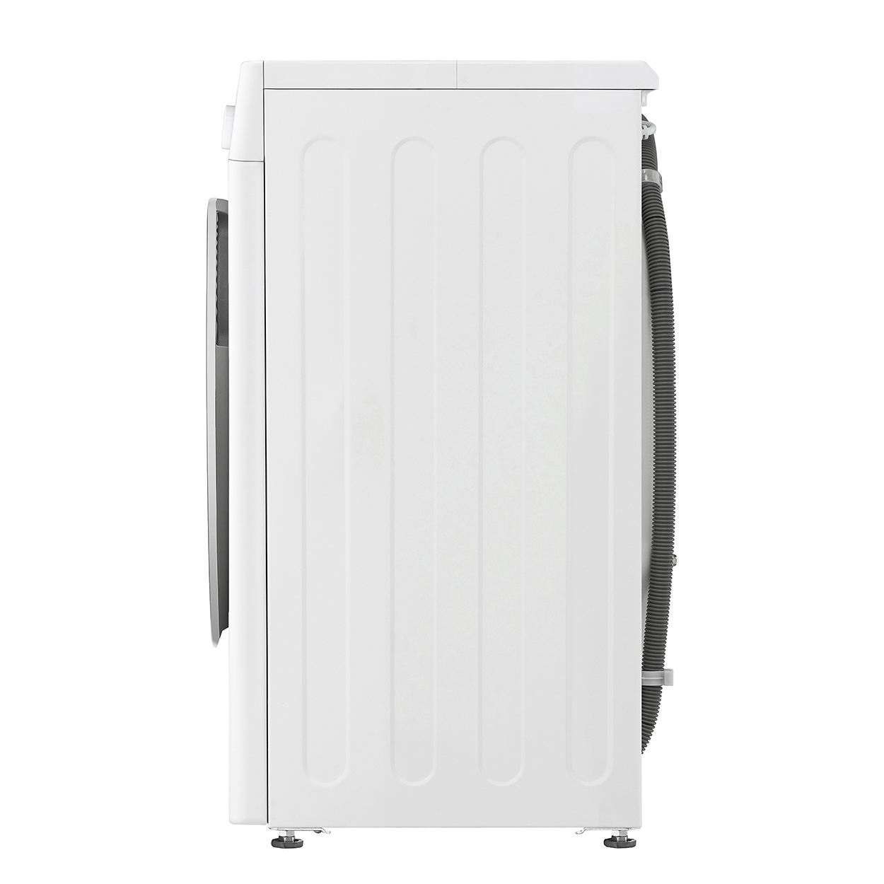 Fa zöld levelekkel egy kör alakú energia ikonban, égbolt háttér.