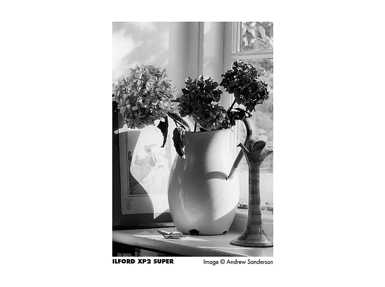 Ilford XP2 super 35mm, 36 Aufnahmen, Schwarzweißfilm; Analog Film — Foto 2 von 2
