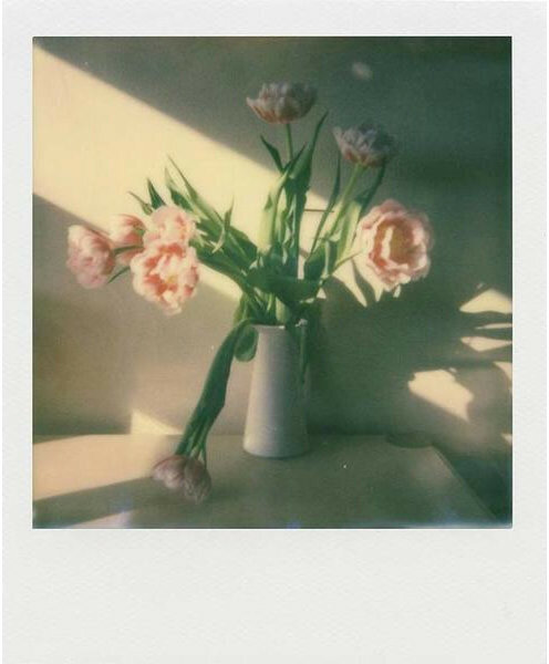 Zdjęcie polaroid tulipanów w wazonie, oświetlonych światłem słonecznym, tworzących cienie na stole.