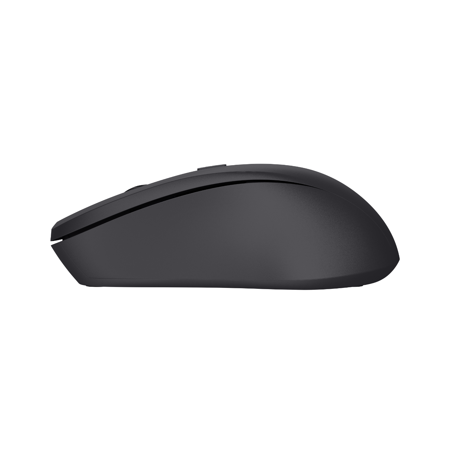 Black computer mouse, side view, with a slight curve, plain white background.