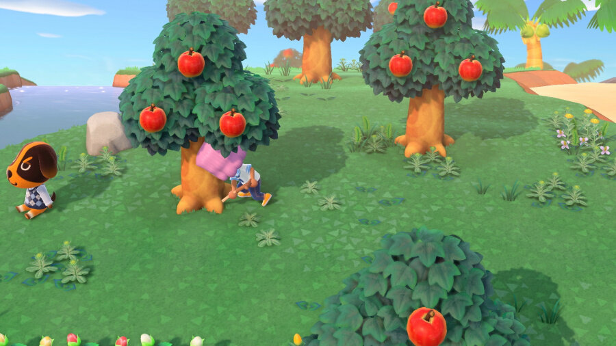 Scena z Animal Crossing z osobą potrząsającą drzewem i psem w pobliżu.