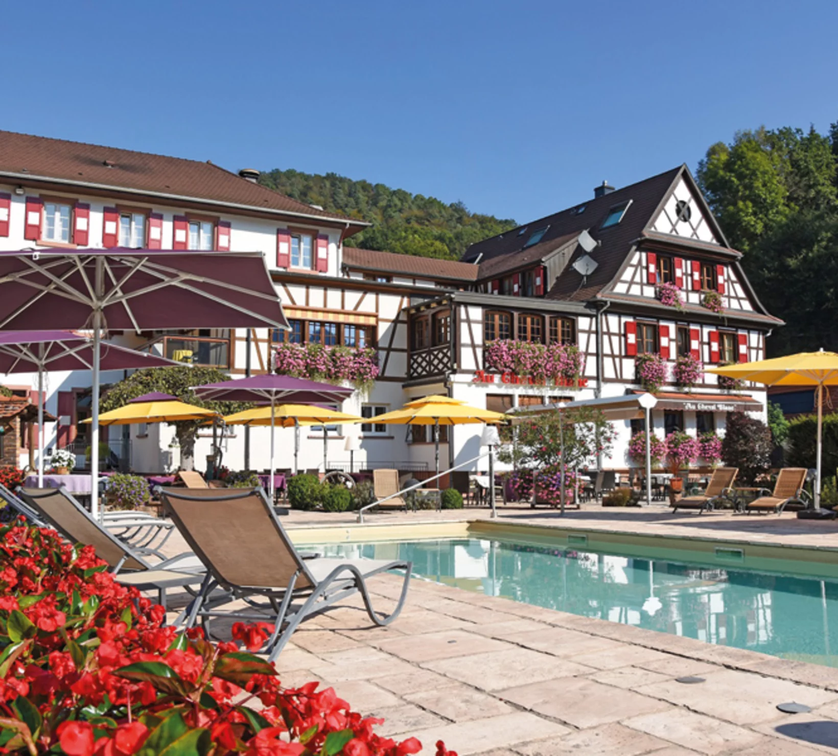Hotel con piscina e lettini, circondato da alberi e fiori, cielo blu.