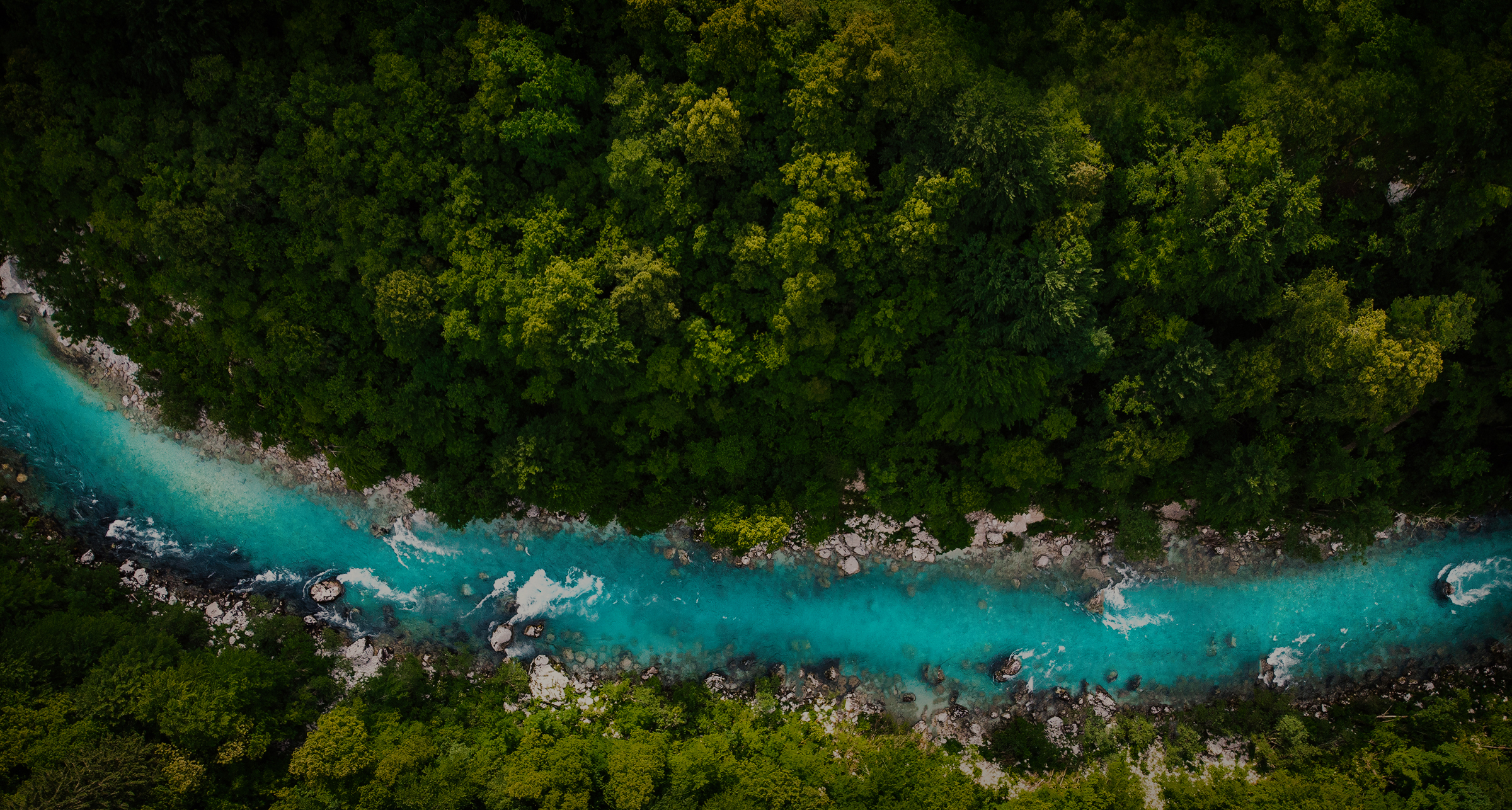 Vista aérea de un río turquesa que fluye por un exuberante bosque verde.