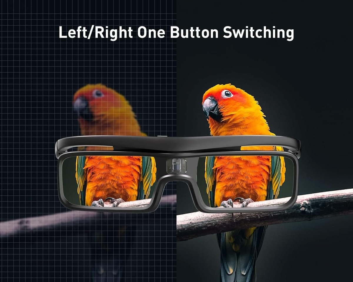Smart-Brille mit Papagei auf einem Ast und Text darüber.