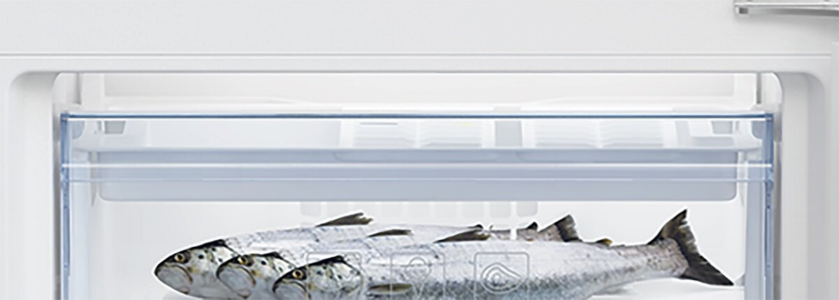 Dwie ryby w szufladzie zamrażarki, z niebieską, przezroczystą szufladą i białym tłem.