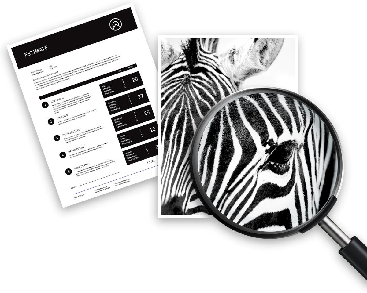 Dokumenty i zdjęcie zebry oglądane przez lupę.