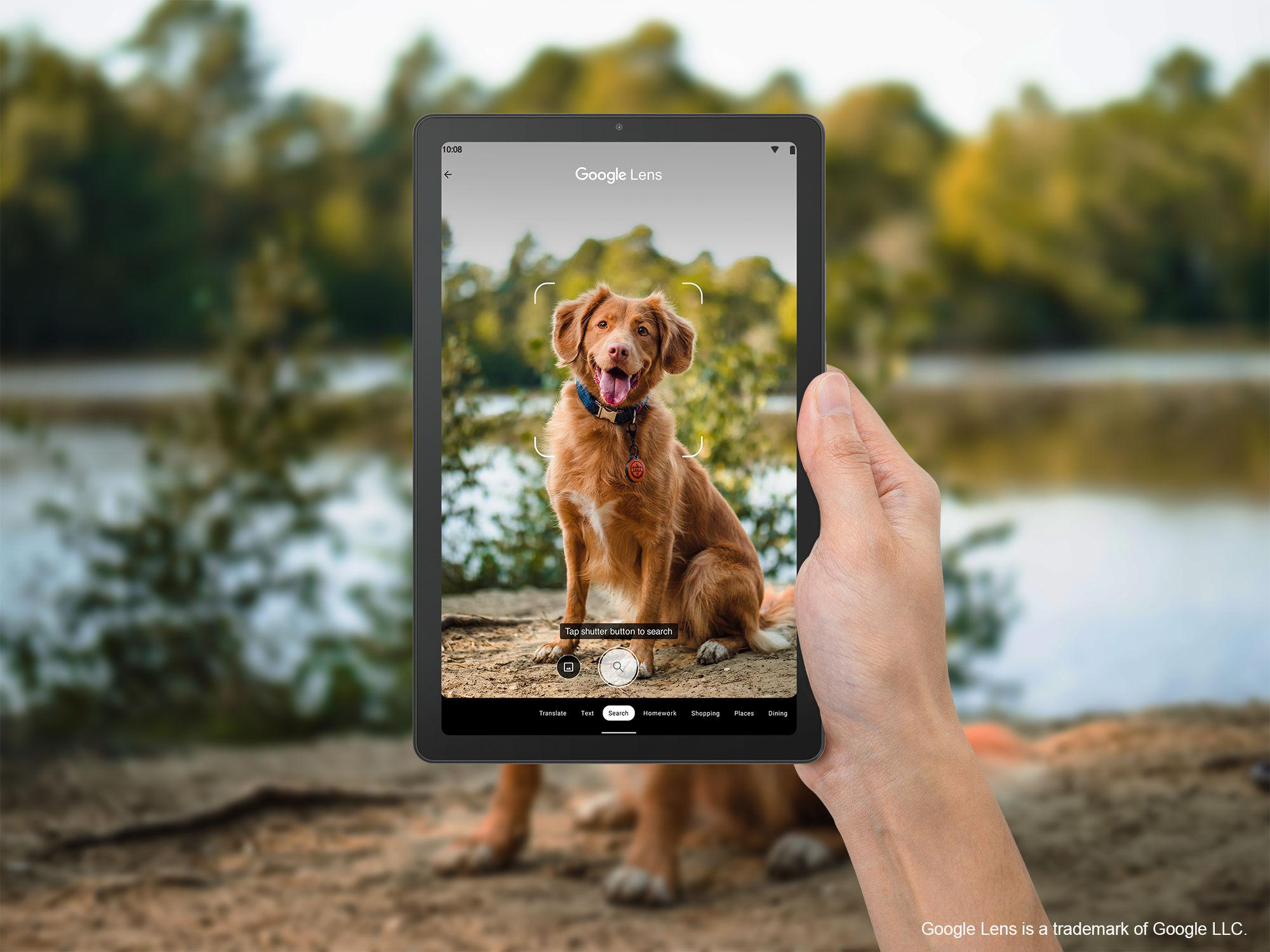 Ein Tablet zeigt einen Hund im Park. Eine Hand hält das Tablet.