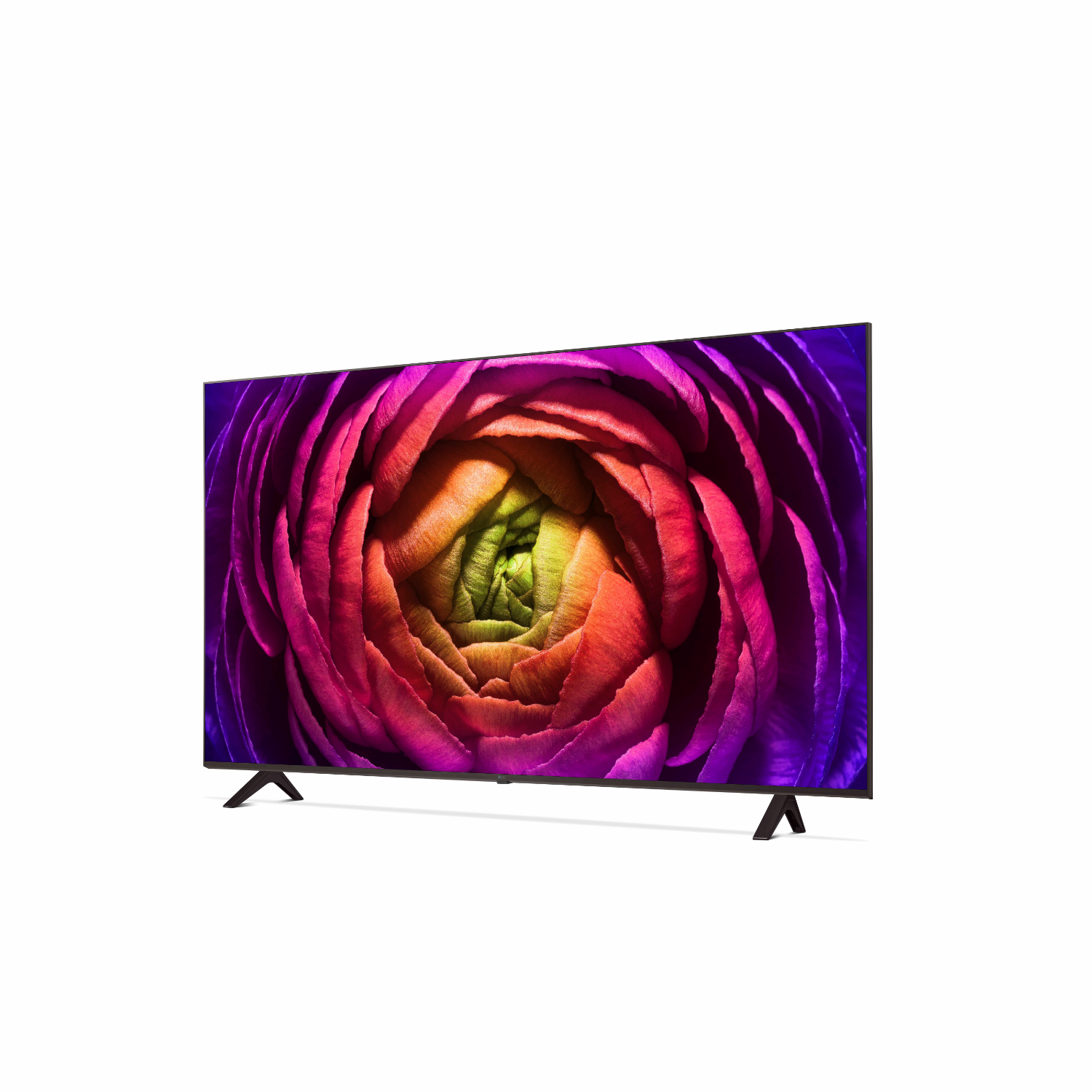 Tv-scherm met een close-up van een bloem in paars, roze, rood en groen.