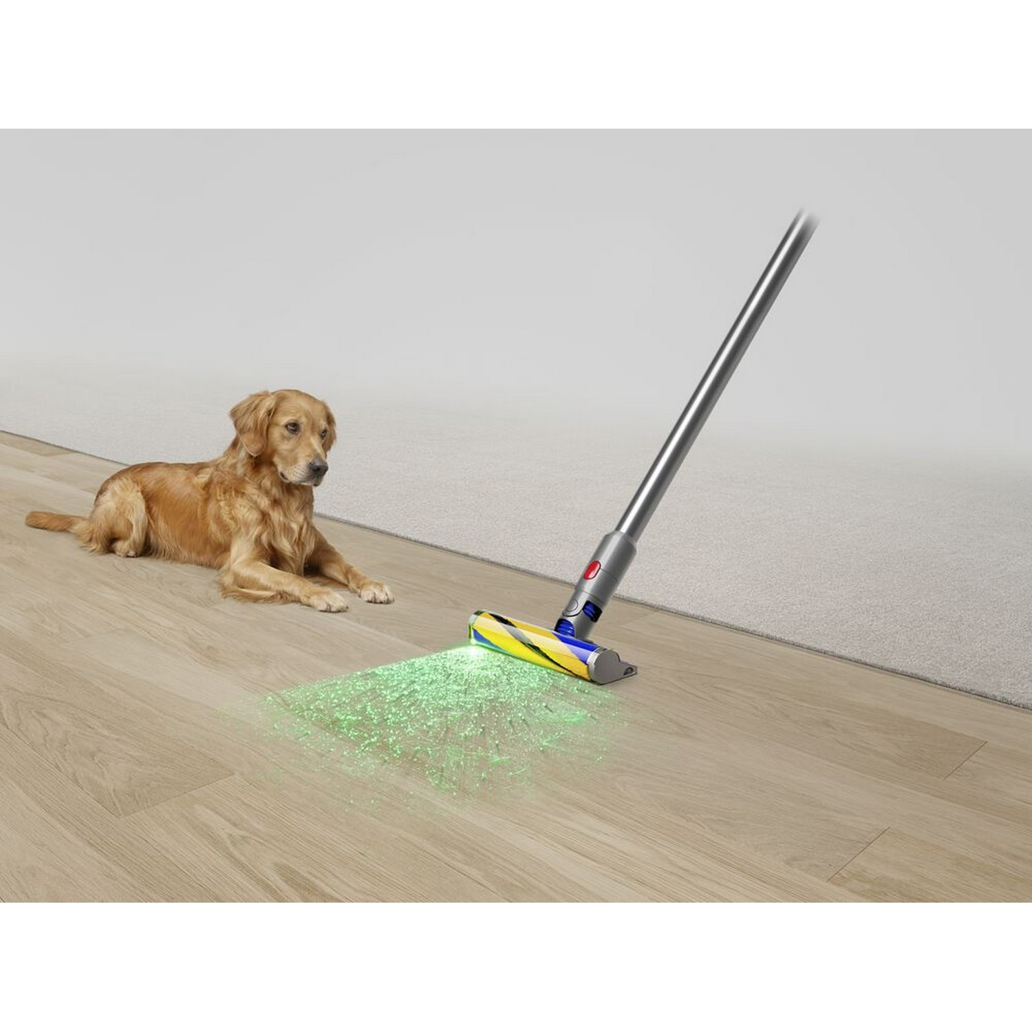 Un golden retriever regarde un aspirateur nettoyer un plancher en bois.