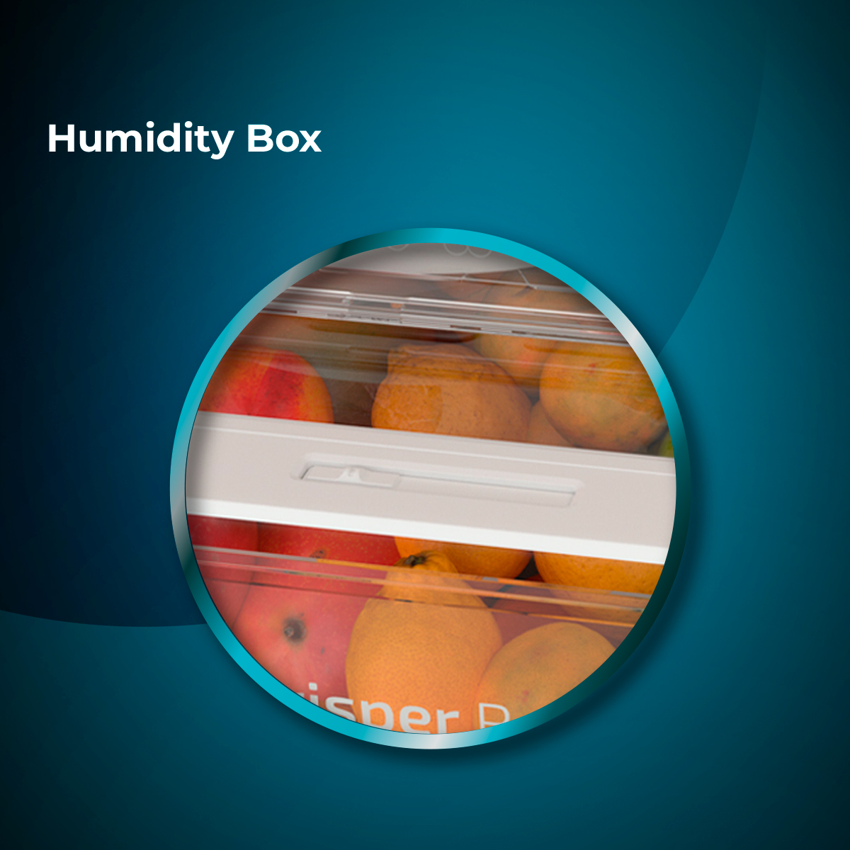 Primer plano de la Humidity Box de un refrigerador llena de frutas; naranjas y manzanas rojas. Fondo azul.