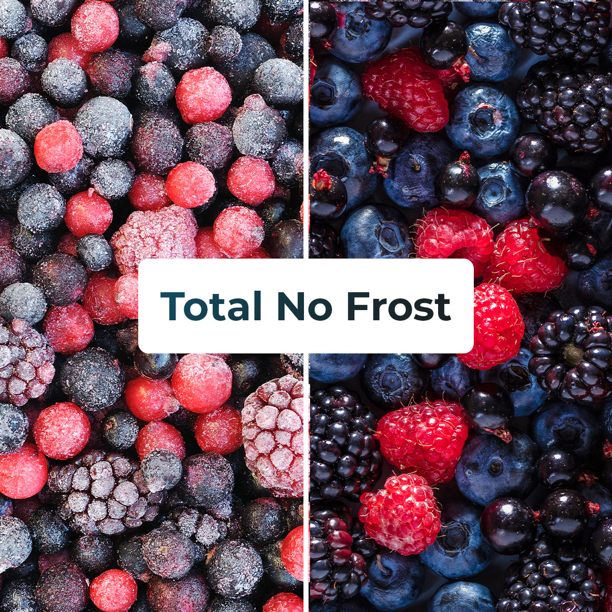 Una imagen dividida de varias bayas congeladas con el texto 'Total No Frost' en el medio.