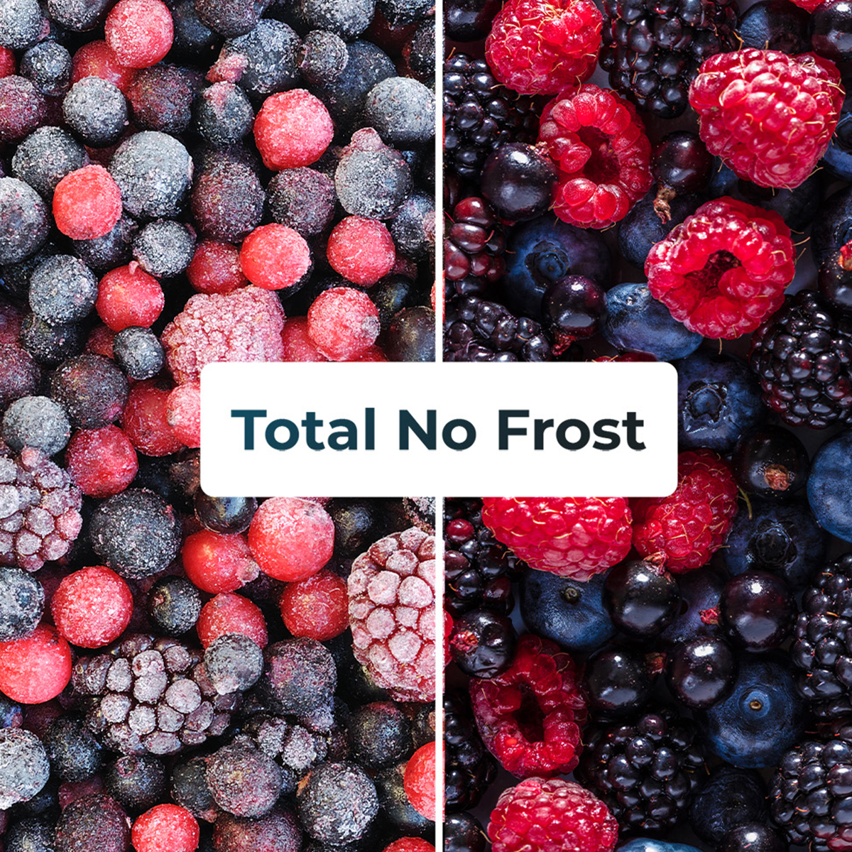 Cuatro imágenes de bayas congeladas, rojas y negras. Texto 'Total No Frost' en el medio, blanco sobre caja azul.