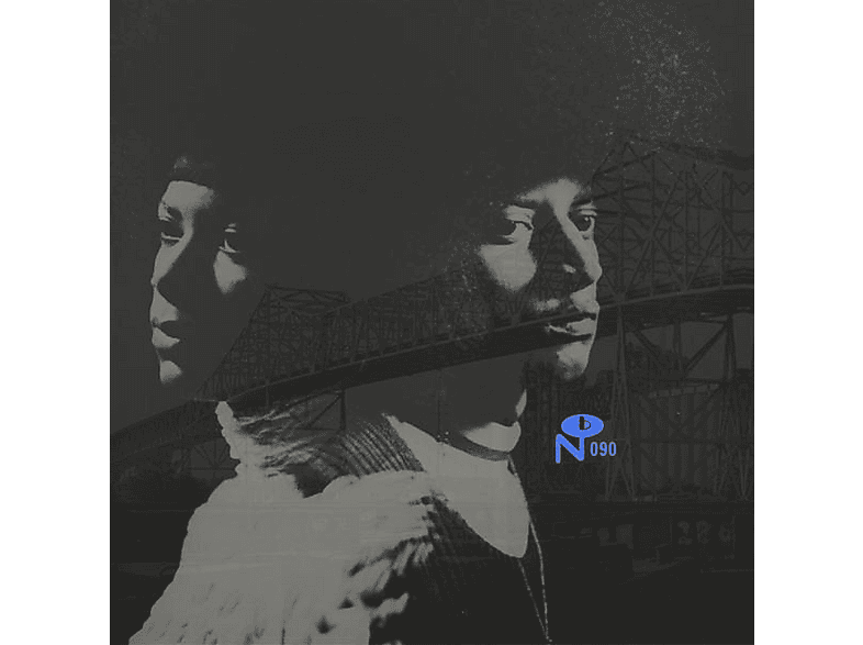 VARIOUS VARIOUS Skyway Soul Gary, Indiana (Vinyl) Sonstige