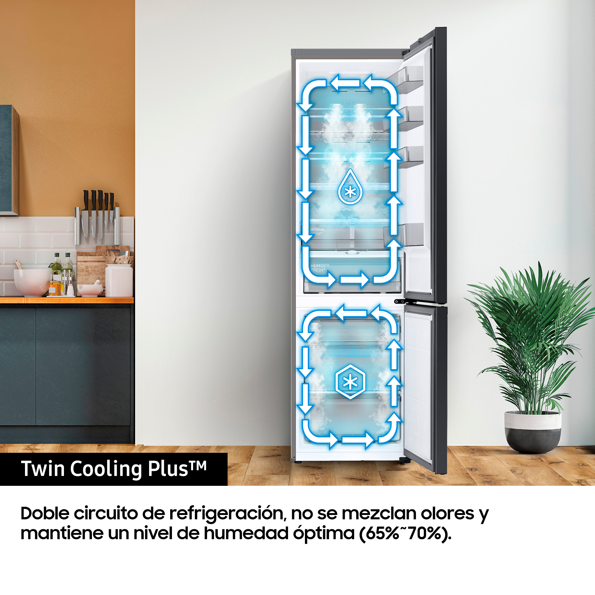 Un refrigerador que muestra un diagrama de flujo de aire con una planta al lado.