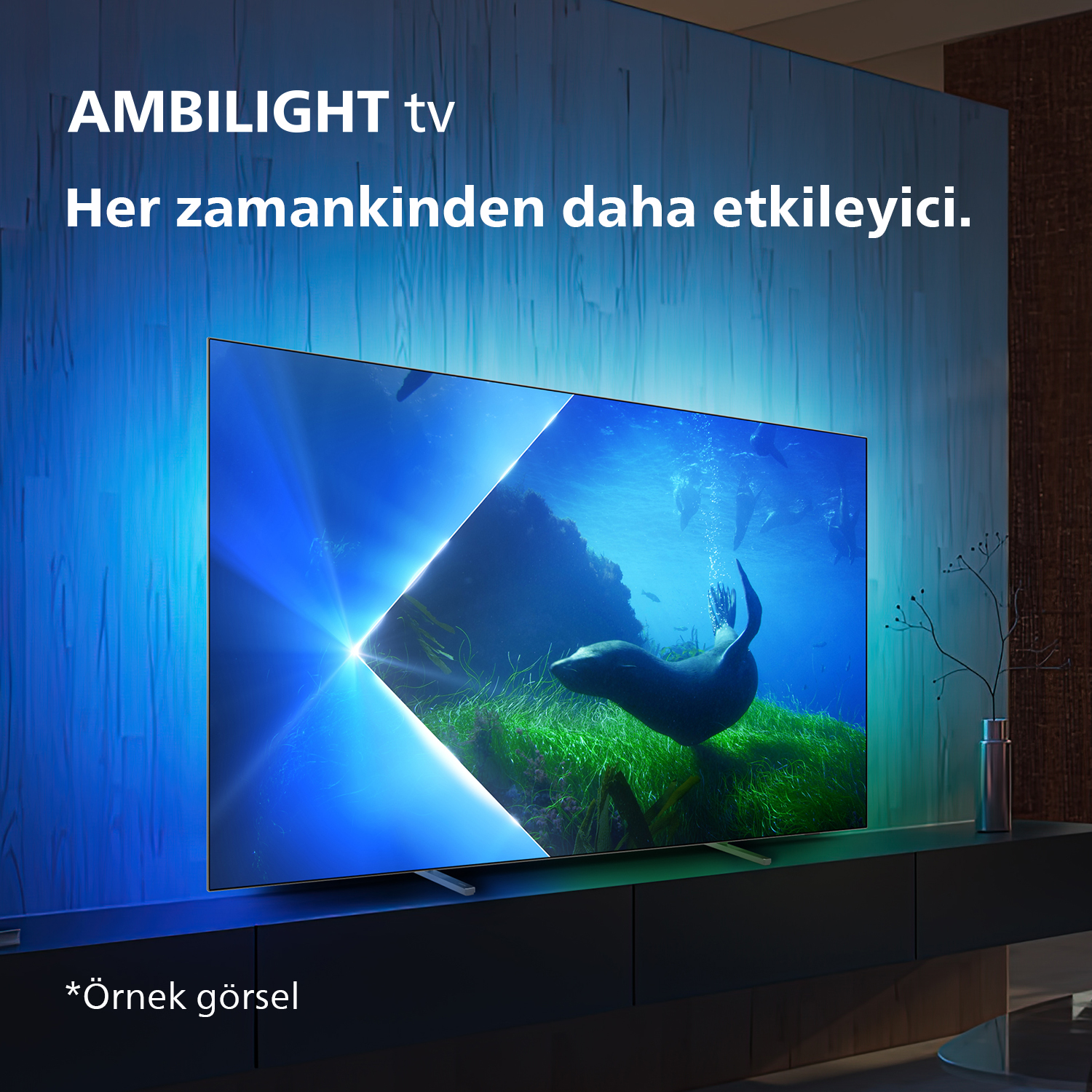 Su altı sahnesi olan bir TV ekranı. TV, siyah bir dolaba monte edilmiştir.
