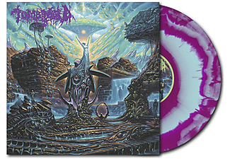 Tomb Mold - The Enduring Spirit (Purple & Baby Blue Vinyl) (Vinyl LP (nagylemez))