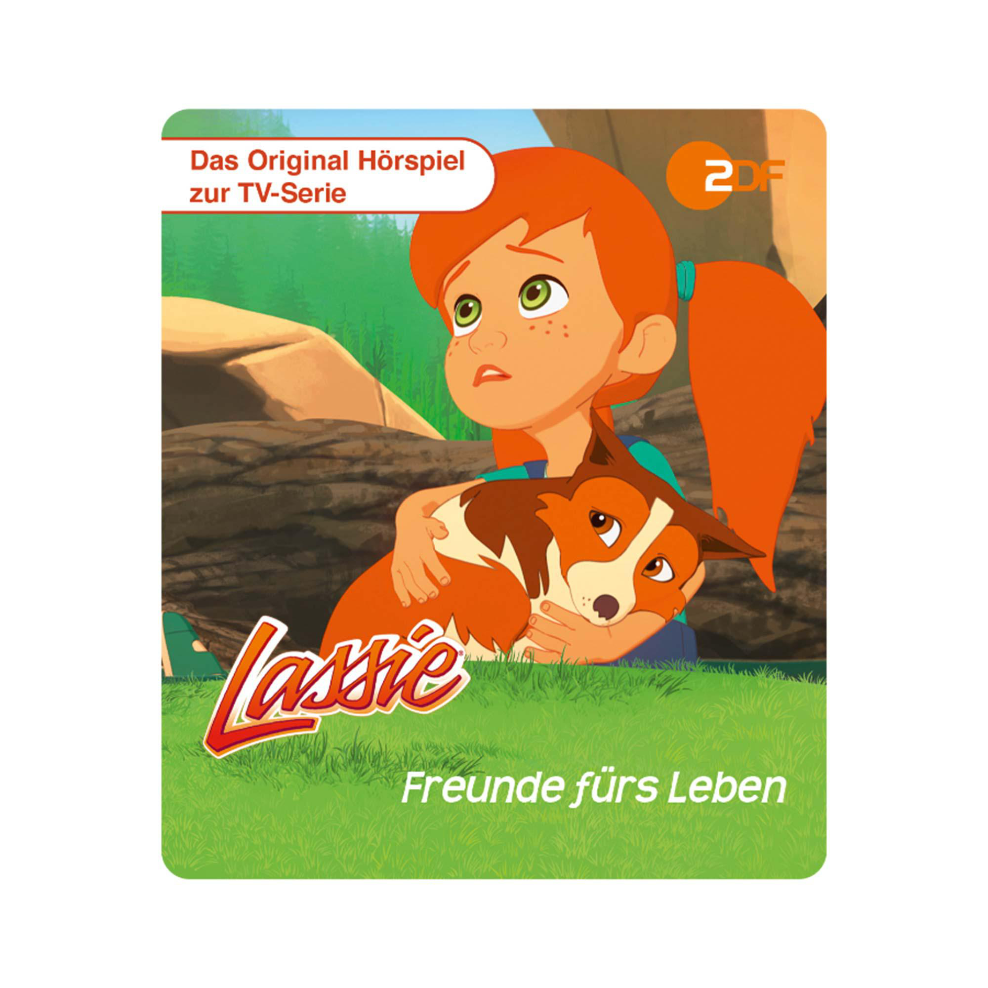 Lassie Zeichentrickbild. Mädchen und Hund auf grünem Gras.