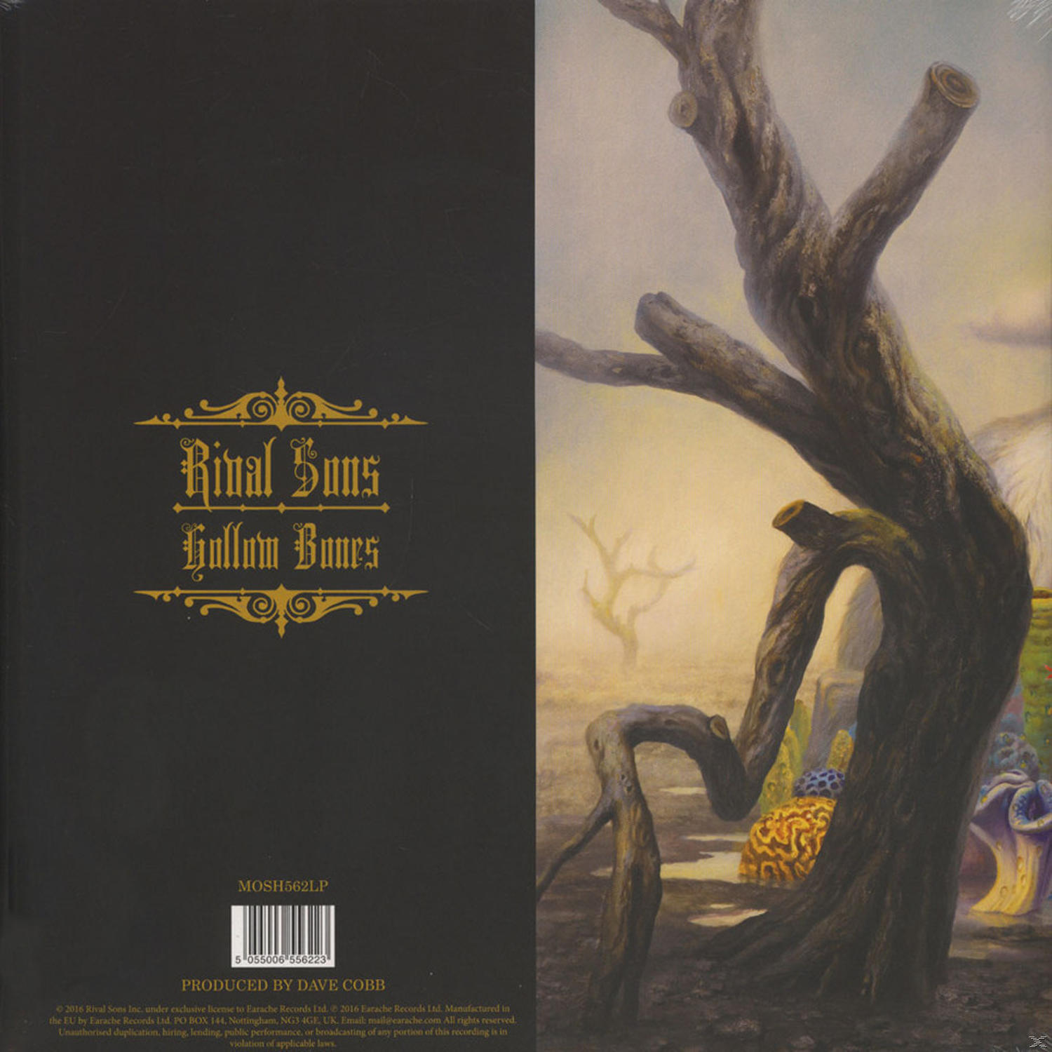 Album borító faággal és szöveggel. Sötét háttér, arany szöveg. Vinyl lemez.