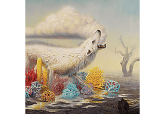 Rival Sons - Hollow Bones (Vinyl LP (nagylemez))