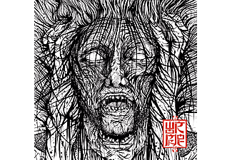 Wormrot - Voices (Vinyl LP (nagylemez))