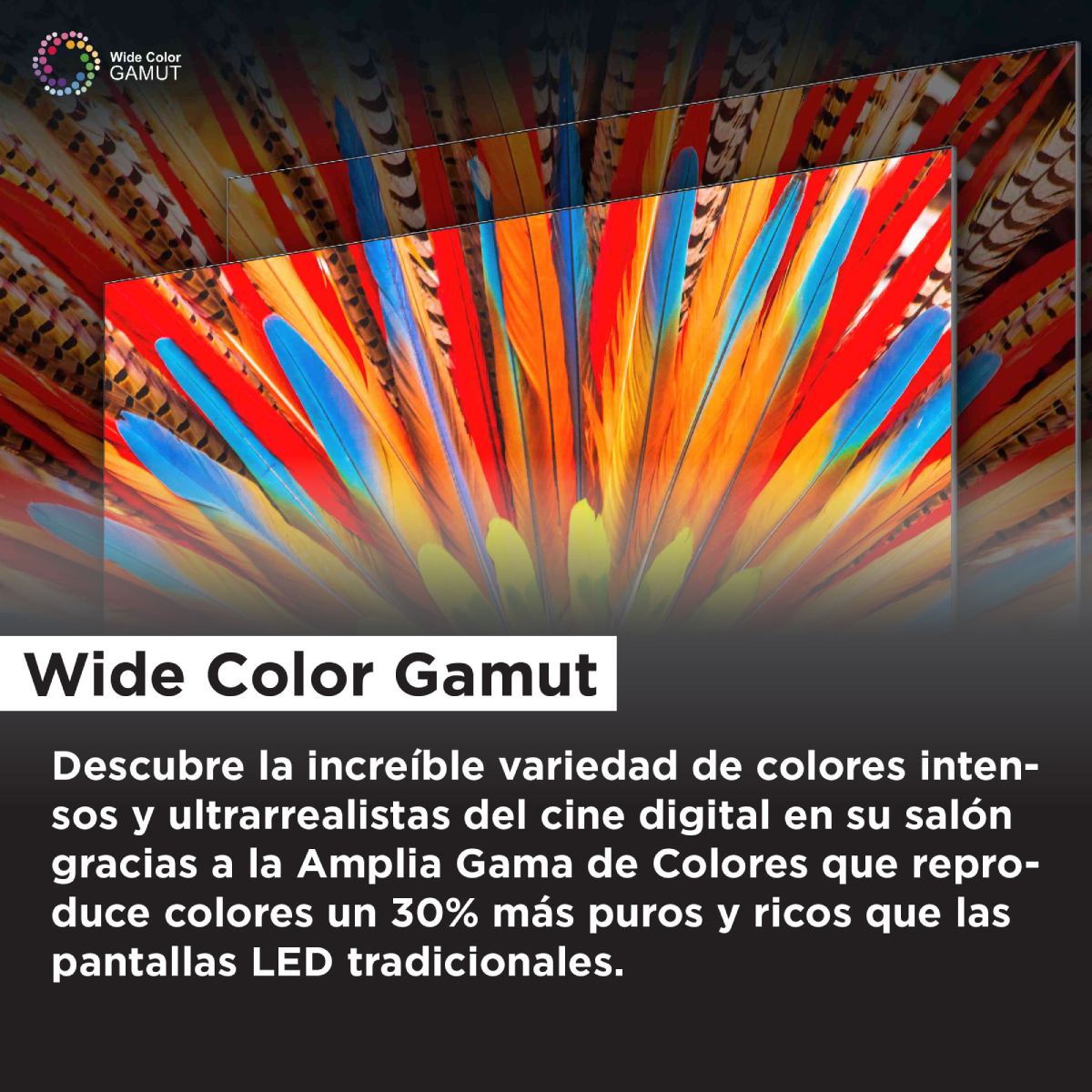 Imagen que muestra una pantalla con plumas coloridas. El texto dice 'Wide Color Gamut'.