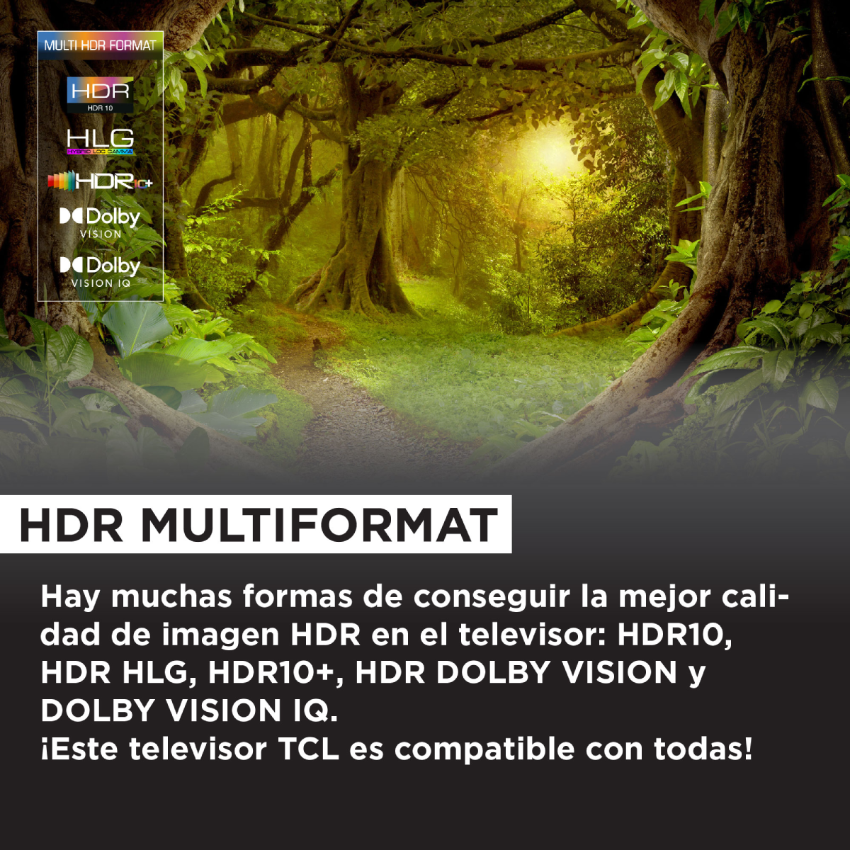 Una pantalla de TV muestra formatos HDR con un fondo de selva y texto.