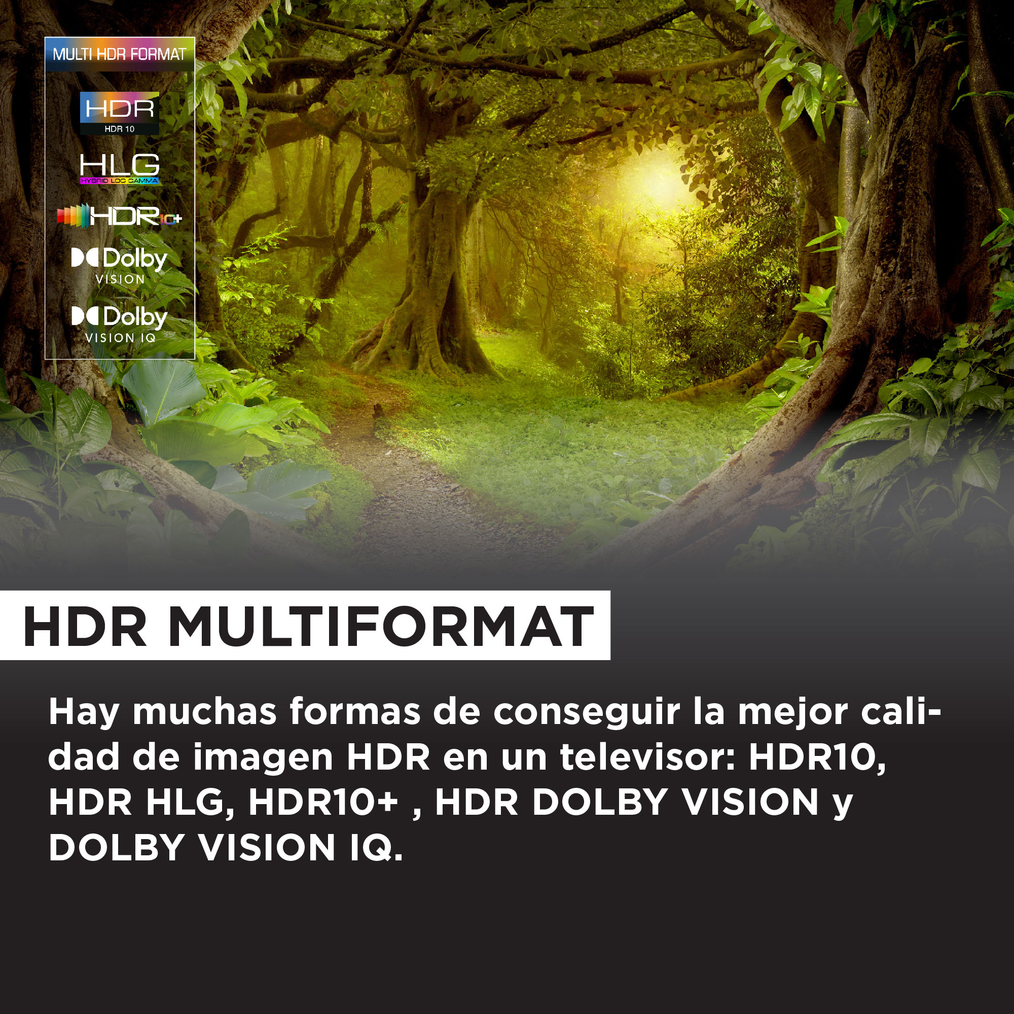 Imagen HDR Multiformato muestra un camino en la jungla. Superposición de texto a la izquierda, texto abajo.