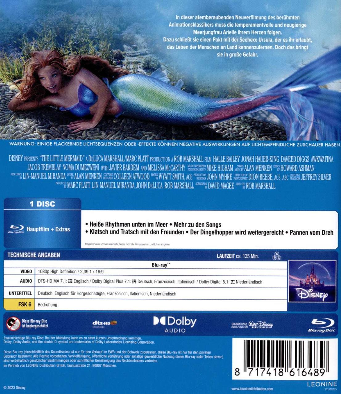Eine Meerjungfrau mit blau-grünen Schuppen und langen braunen Haaren schwimmt.