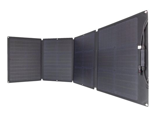 ECOFLOW EFSOLAR 110W - Tragbares Solarpanel (Schwarz)
