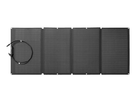 ECOFLOW EFSOLAR160W - Tragbares Solarpanel (Schwarz)