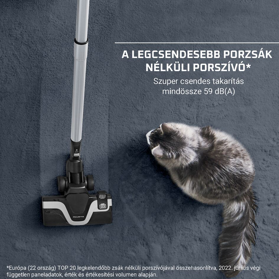 Porszívó macskával a szőnyegen. Szöveg a jobb felső sarokban.