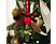 FAMILY CHRISTMAS Karácsonyi ajtódekoráció, műfenyő, tobozzal, piros csengettyűvel, 16 x 13 cm (58554B)