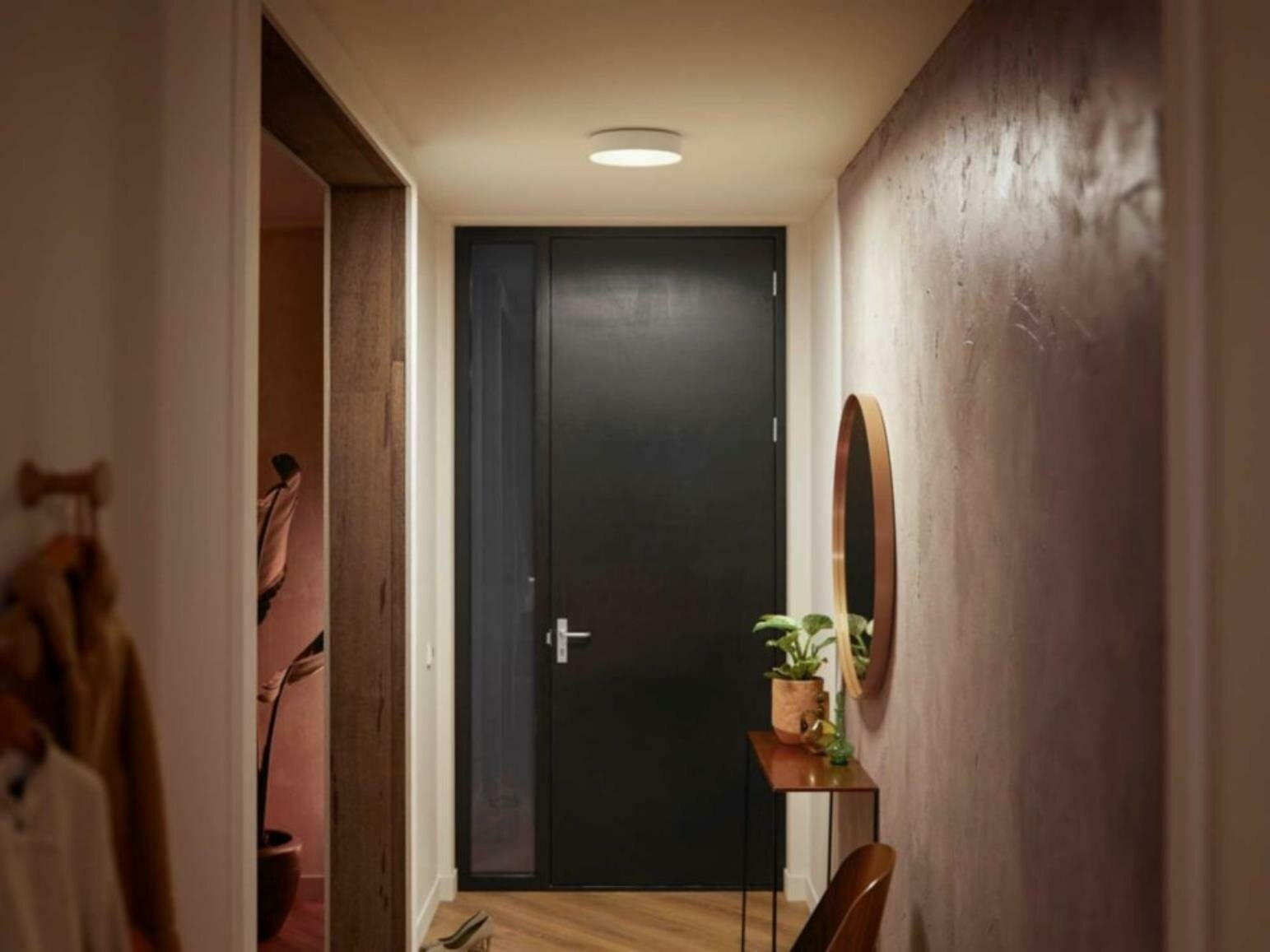 Korytarz z czarnymi drzwiami, lustrem i rośliną na stole. Ciepłe oświetlenie i neutralne ściany.