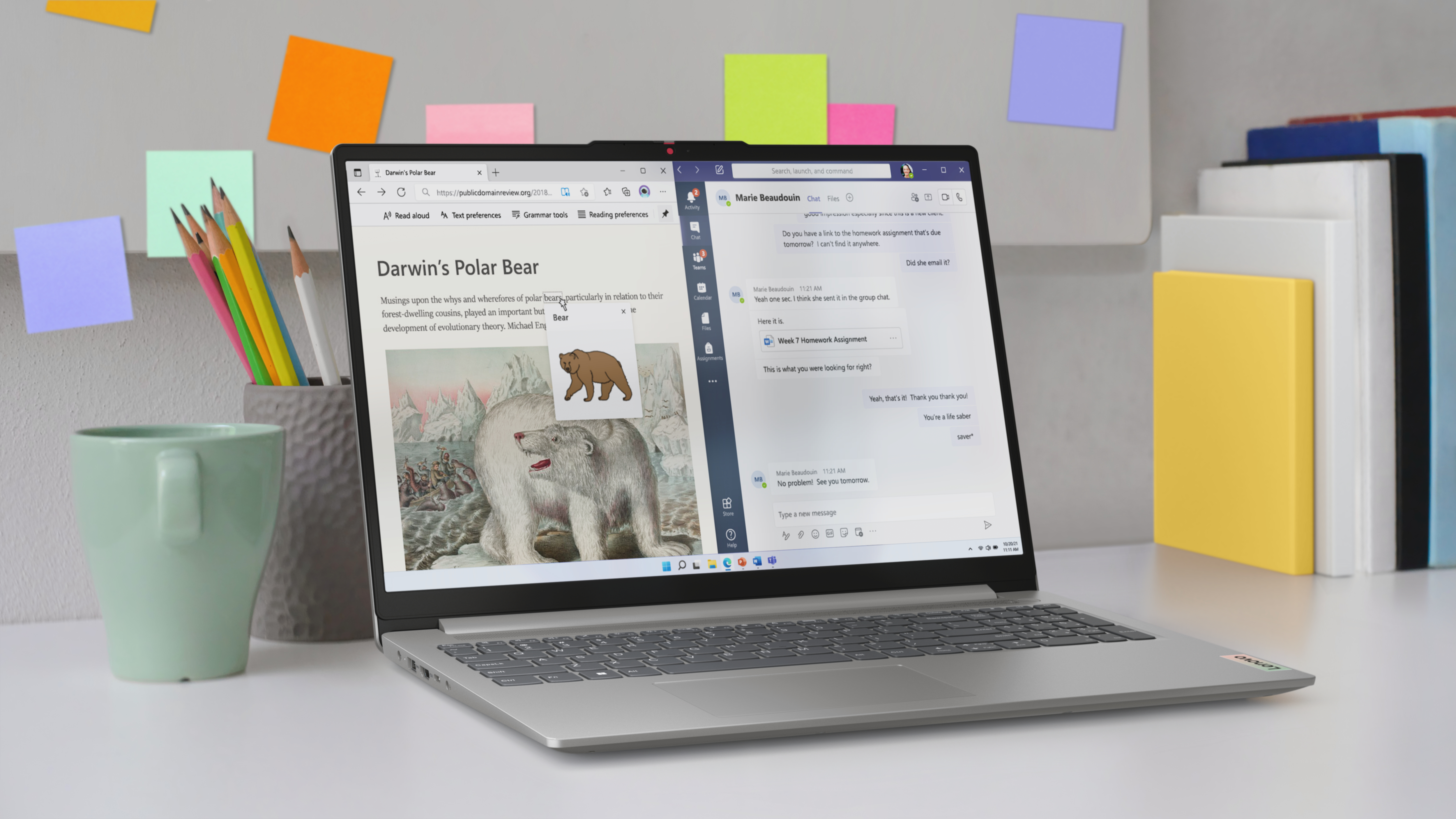 Laptop mit Webseite über Eisbären, mit Haftnotizen und Büchern im Hintergrund.