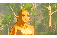 Gra Nintendo Switch The Legend of Zelda: Breath of the Wild