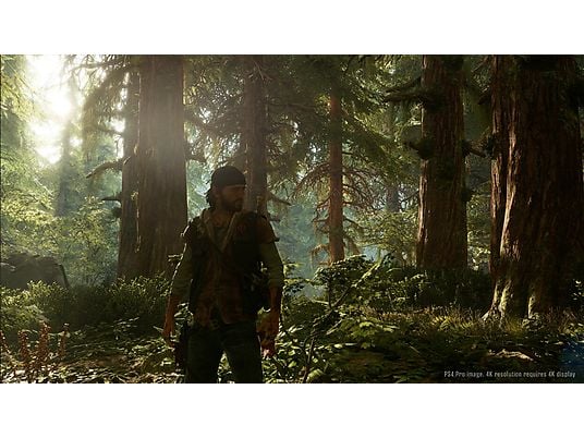 Gra PS4 Days Gone (Kompatybilna z PS5)