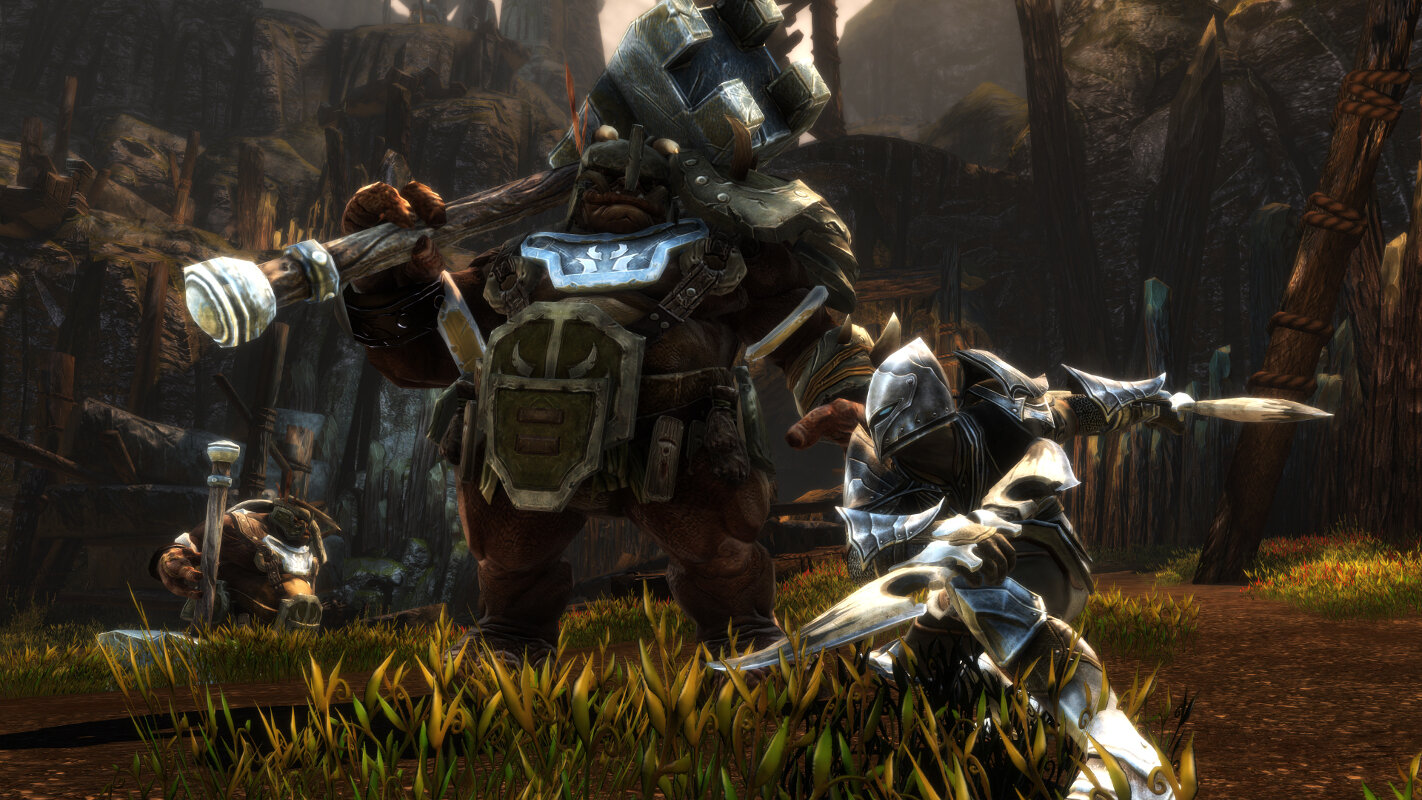 Gra Nintendo Switch Kingdoms of Amalur Re-Reckoning