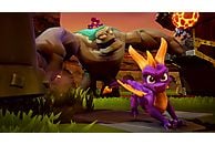 Gra Nintendo Switch Spyro Reignited Trilogy