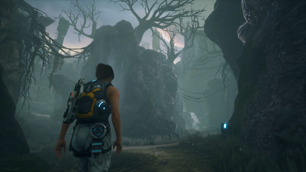 Osoba odchodzi od kamery przez ciemny las, w tle złowieszcze drzewa.