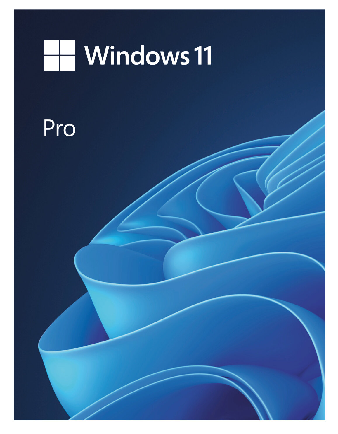 System Operacyjny Windows 11 Pro USB PL