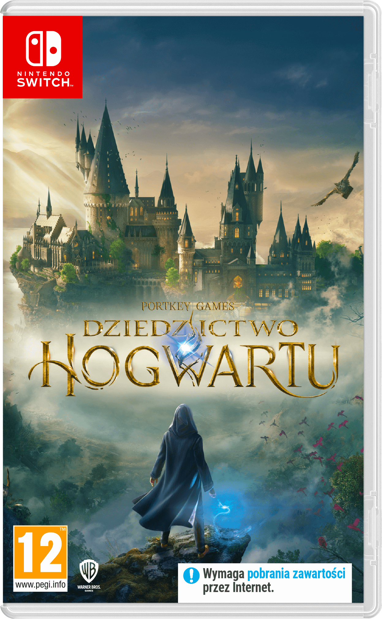 Nintendo Switch Hogwarts Legacy Nintendo Switch 81rFTBM8hIL._UF350,350_QL80_.jpg