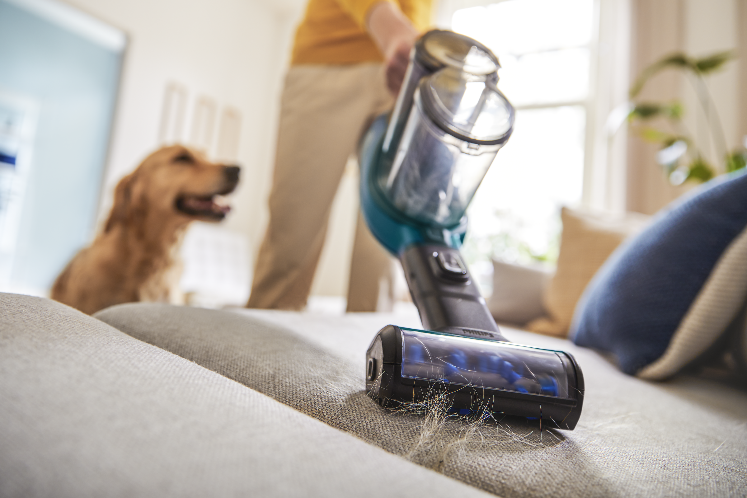 Osoba odkurza sofę, w pobliżu obserwuje pies, a na sofie jest sierść zwierząt.