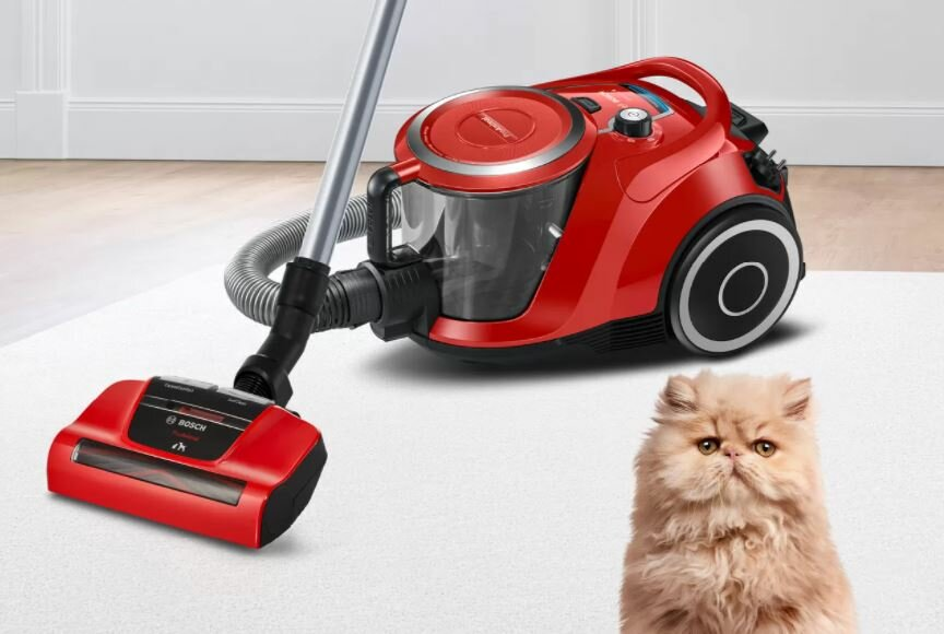 Czerwony odkurzacz na białym dywanie. Puszysty kot po prawej stronie. Odkurzacz ma wąż i szczotkę.